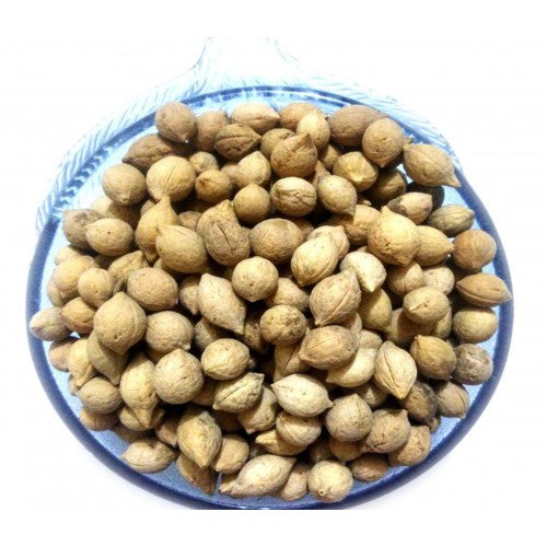 PUTRAJEEVAK BEEJA 100GM | Strychnos nux-vomica Seed | Reproductive Health Support 🌿