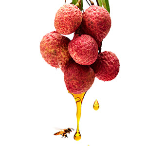 Lychee Honey Raw Organic Honey 500g | Natural Taste Honey | Raw and Unprocessed | Punjab Region