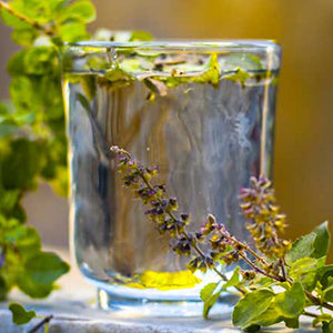 Pratirakshak Ukalo Dry 100GM | RIDDHISH HEBALS