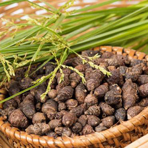 Manjishthadi Kashayam Tablet | Skin Brightness & Blood Purification | Riddhish Herbals | 60Tab.