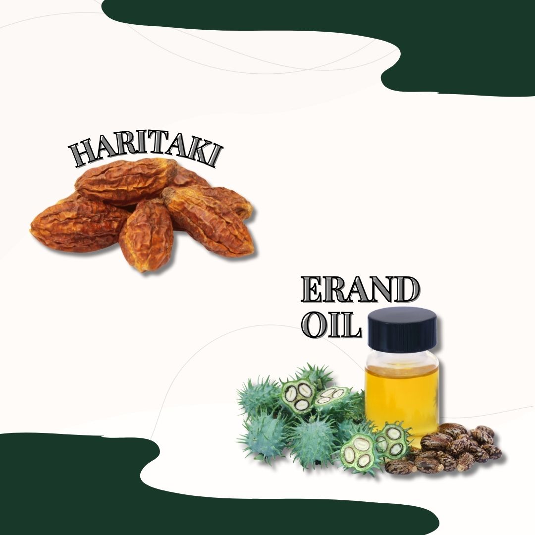 Riddhish Herbals Erand Bhrust Haritaki Tablet 100t