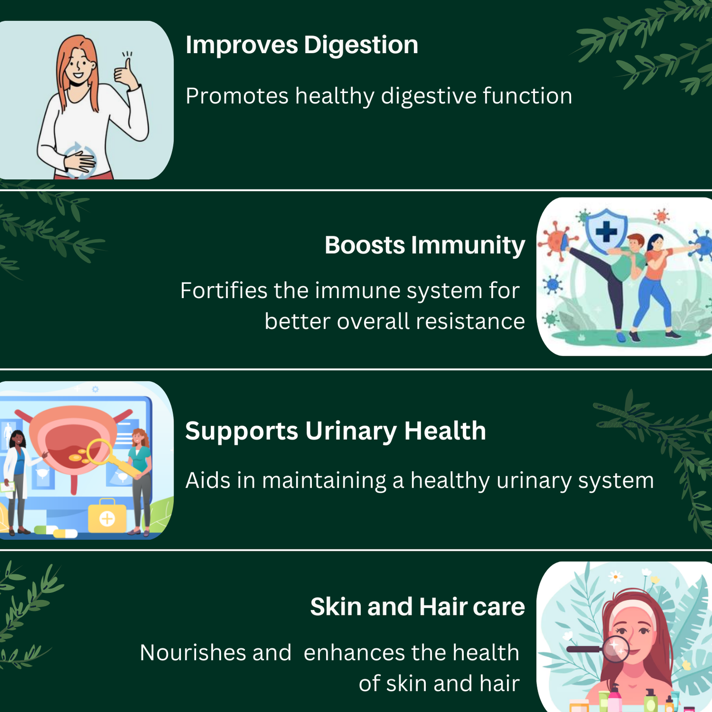 Organic Rasayan Churna (Amrutadi Churna) | COMBINATION OF Guduchi (Giloy), Gokshura, Amla Ayurvedic Powder – For Digestion & Immunity Booster