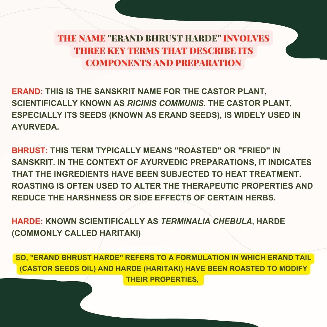 Riddhish Herbals Erand Bhrust Haritaki Tablet 100t