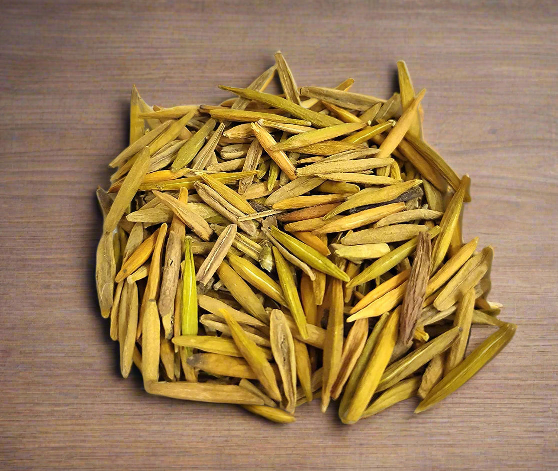 Indrajav Akhu 100GM | Holarrhena pubescens | Ayurvedic Remedy for Blood Sugar Control and Digestion