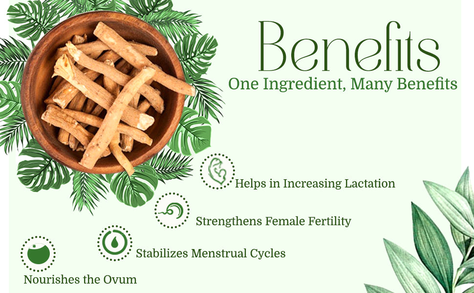 Shatavari Powder 100gm | Pure Asparagus racemosus | Vegan & Gluten-Free | RIDDHISH HERBALS