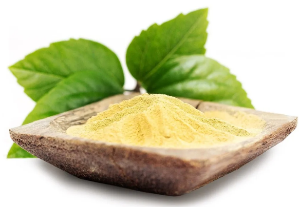 SUDARSHAN CHURNA 100GM | Sudarshan Churna | Supports Immunity and Wellness 🌱