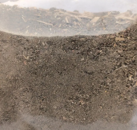 KANTKARI KWATH 100 GM (Solanum Xanthocarpum): Ayurvedic Elixir for Respiratory Health