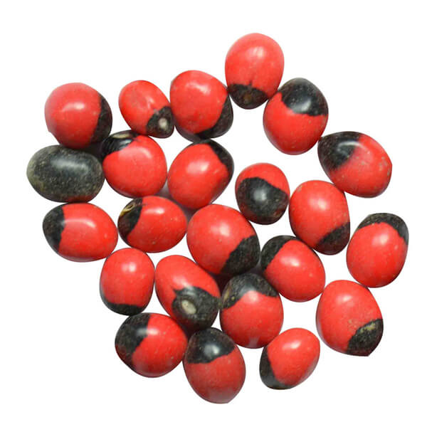 Gunja Beej 100gm | Abrus precatorius