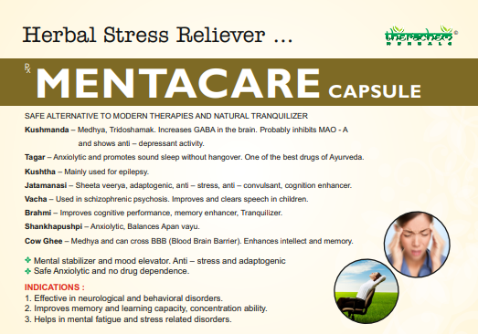 MENTACARE CAPSULE (60CAP) | THERACHEM HERBALS