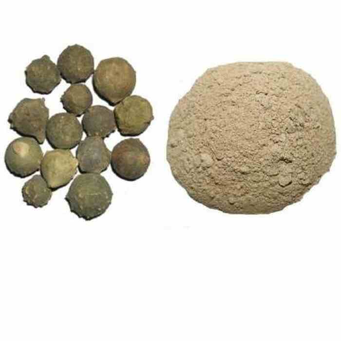 KANTALO MAYU CHURNA 100 GM (Quercus Infectoria): Ayurvedic Elixir for Digestive Health