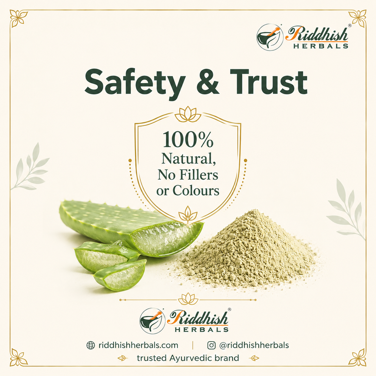 Aloe Vera Churna safety and trust infographic with 100 percent natural no fillers or colours badge