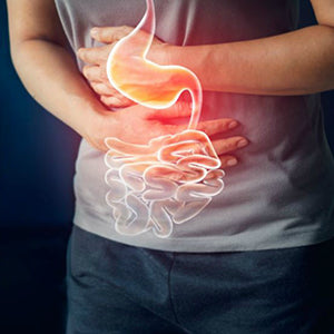 Lychee Honey Raw Organic Honey 500g | Natural Taste Honey | Raw and Unprocessed | Punjab Region