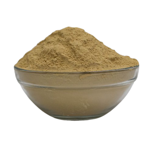 Atibala Churna 100gm | Abutilon indicum