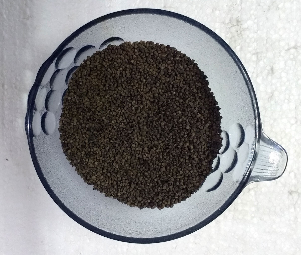 Bala Beej -100gm | Sida cordifolia – Natural Strength & Vitality Support | by Riddhish Herbals