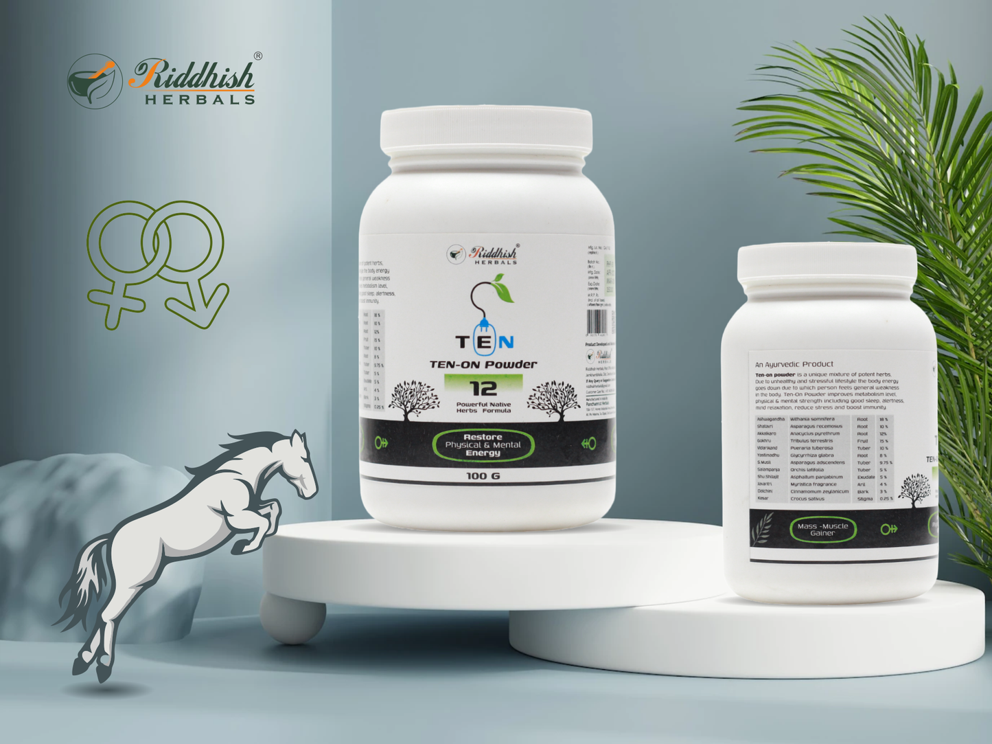 Ten On Powder 100gm | Ayurvedic Vitality & Wellness Support | Riddhish Herbals