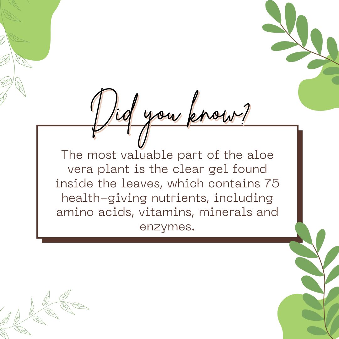 Aloevera Gel With Goodness of Haldi, Kesar & Honey (120ml) | RIDDHISH HERBALS