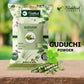 Guduchi (GILOY) Powder 100gm | Tinospora cordifolia: Natural Immunity Booster | Riddhish Herbals