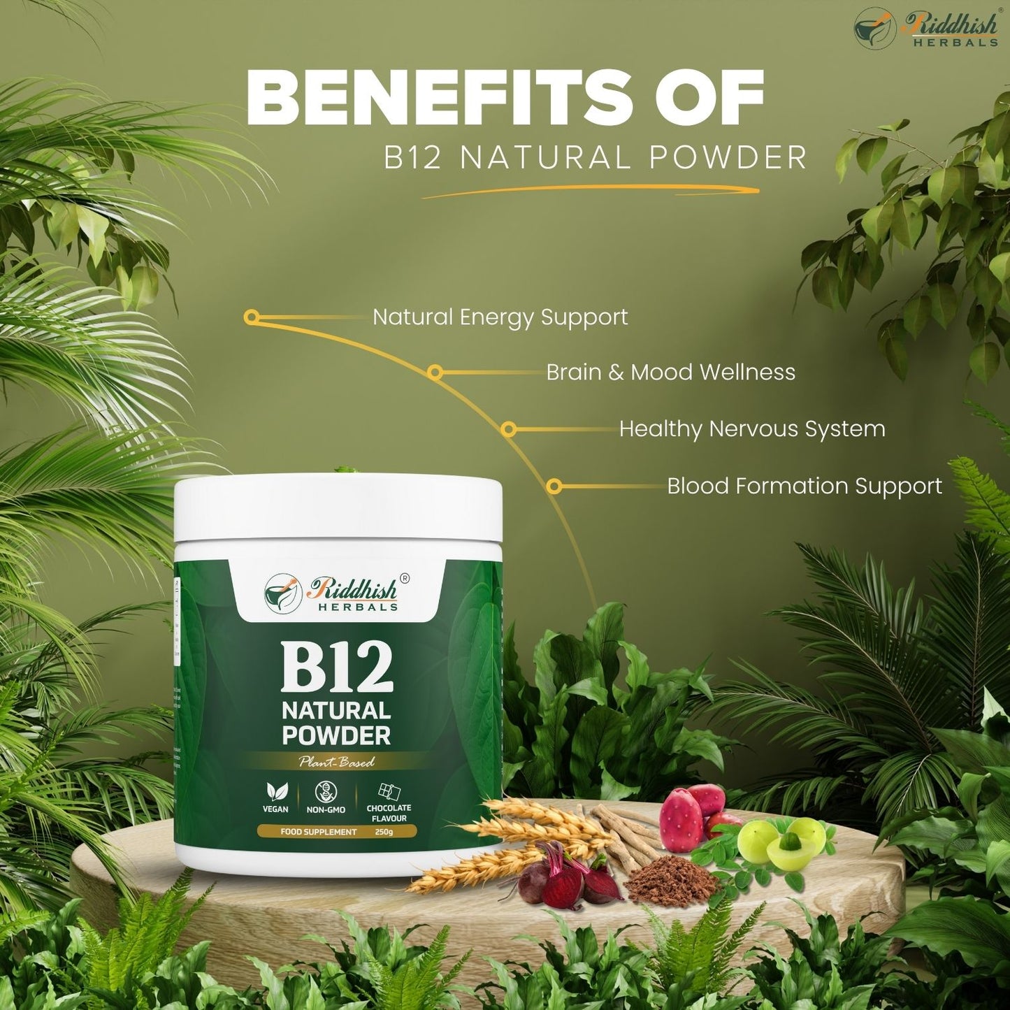 B12 NATURAL POWDER- PLANT BASED | VEGAN | NON-GMO | CHOCOLATE FLAVOUR - 250G