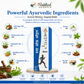 RHEUMA OFF OIL VIRGO UAP (Unjha Ayurvedic Pharmecy) 50ML | Ayurvedic Instant Pain Relief Oil | Natural Solution for Joint, Back, and Muscle Pain | Herbal Formulation