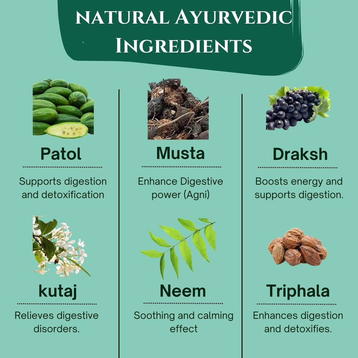 Mansh Pachak composition panel — Patol, Neem, Triphala, Nagarmoth, Kutaj, Draksh 82mg each