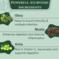 Asthi Majja Pachak composition panel — Amalaki, Nagarmoth, Guduchi 165mg each | Panchamrut Herbals