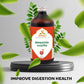 Abhayarishta Virgo Classical Arishta Siddha Yoga Sangrah — Riddhish Herbals Ayurvedic Store