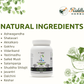 Ten On Powder Ayurvedic Rasayana usage suggestion — physician guided Riddhish Herbals