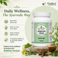 Panchamrut Herbals GMP-certified Rasayan Churna 100g – Giloy Gokshura Amla | Riddhish Herbals