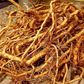 KAPAS MUL CHURNA 100G | Gossypium herbaceum Root