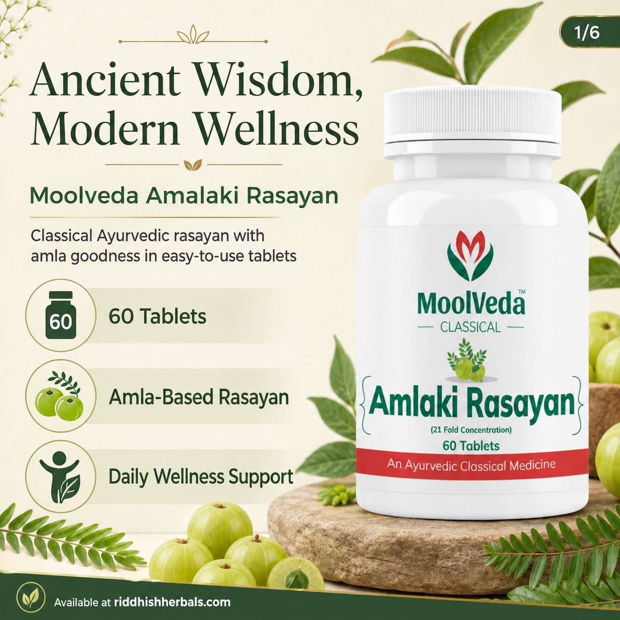 Moolveda Amalaki Rasayan | 60 Tablets | Amla Immunity & Antioxidant Support