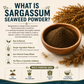 Sargassum seaweed powder for organic gardening and healthy soil | Riddhish Herbals