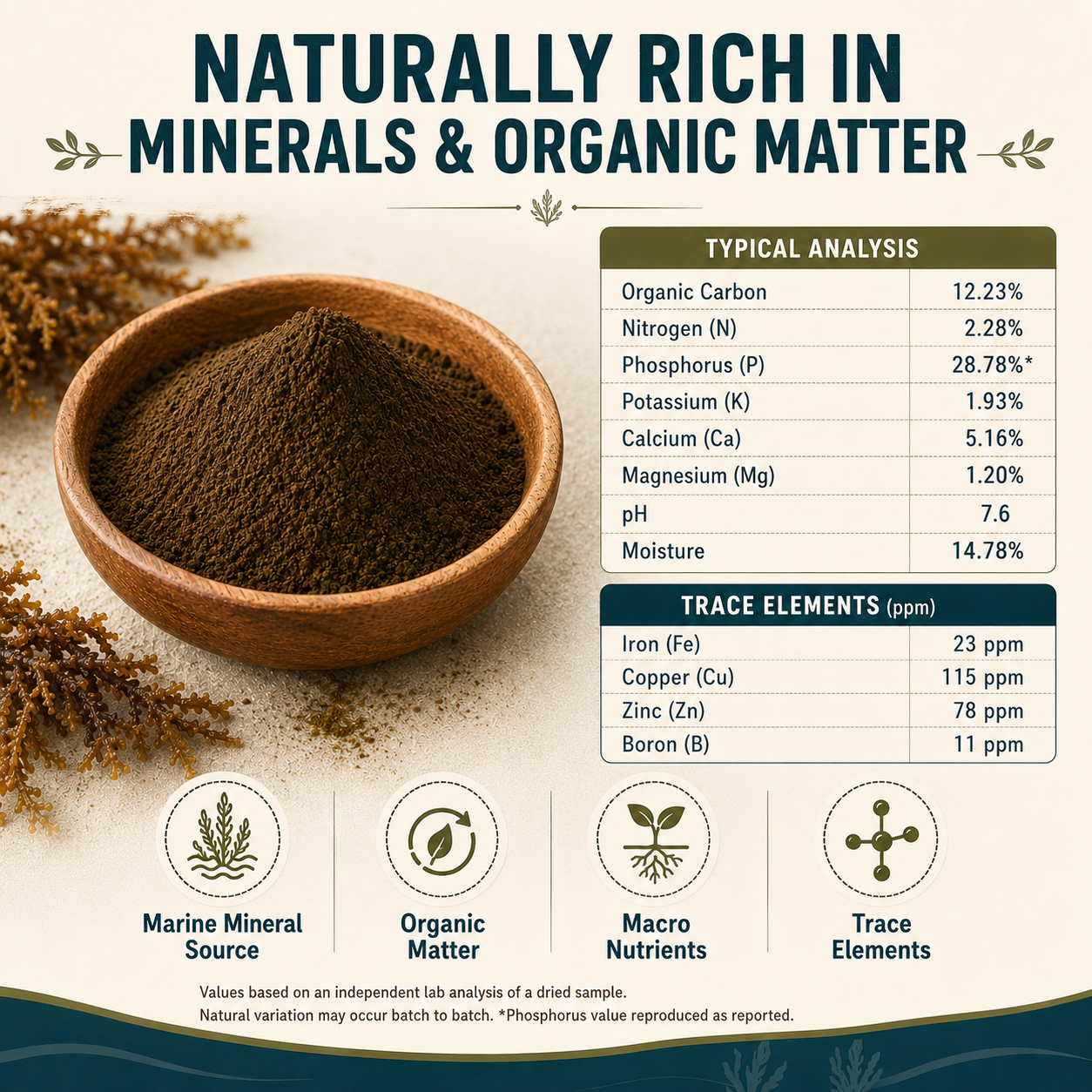 Organic Sargassum brown seaweed powder plant bio-stimulant | Riddhish Herbals