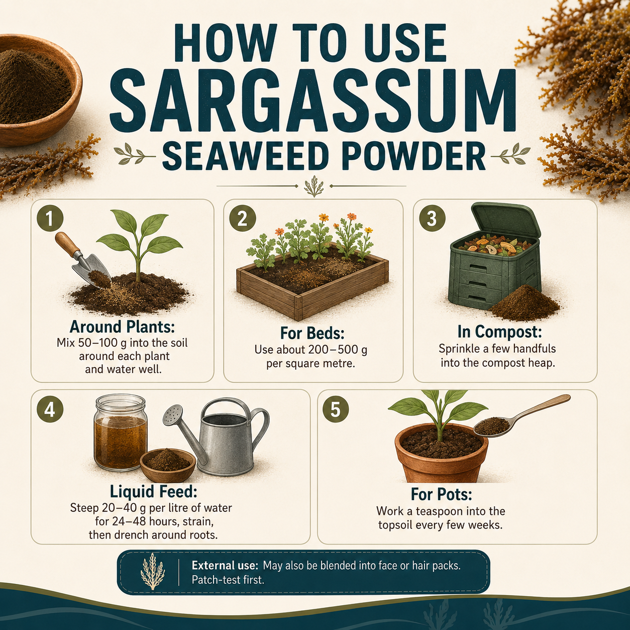 Sargassum (Samudri Shaival) seaweed powder for farm and garden | Riddhish Herbals