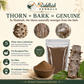 Shalmali Kantak Churna (Thorn & Bark) | Bombax ceiba | Riddhish Herbals