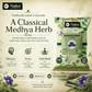 Sankhpushpi Powder (Churna) 100g | Convolvulus pluricaulis | Riddhish Herbals