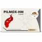 Pilmox-HM Capsule by Panchamrut Herbals — Ayurvedic piles & ano-rectal wellness, 10-capsule strip | Riddhish Herbals