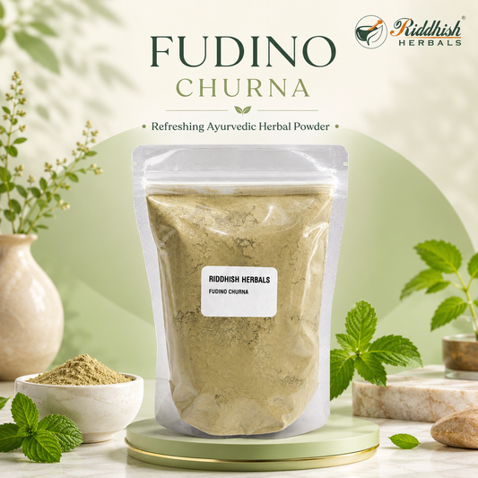 FUDINA CHURNA 100GM