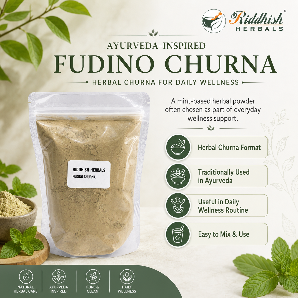 FUDINA CHURNA 100GM