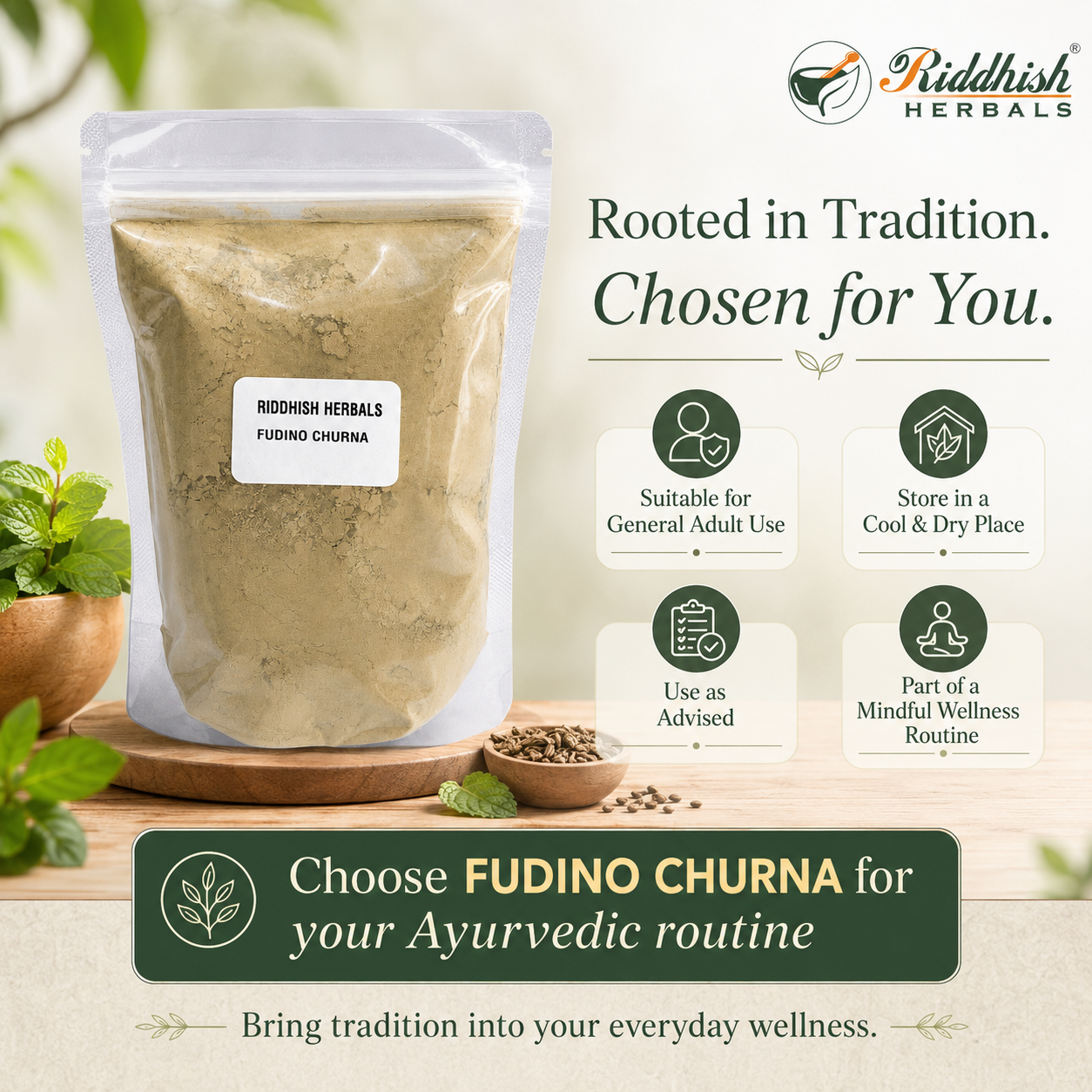 FUDINA CHURNA 100GM