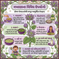 Riddhish Herbals Organic Makhana (Fox Nuts) | Euryale ferox | Ayurvedic Superfood & Protein Rich Healthy Snack