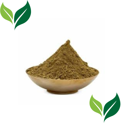 🌿 Shivakshar Pachan Churna -100GM| Ayurvedic Digestive Powder – Natural Digestive Support|RIDDHISH HERBALS  🌿