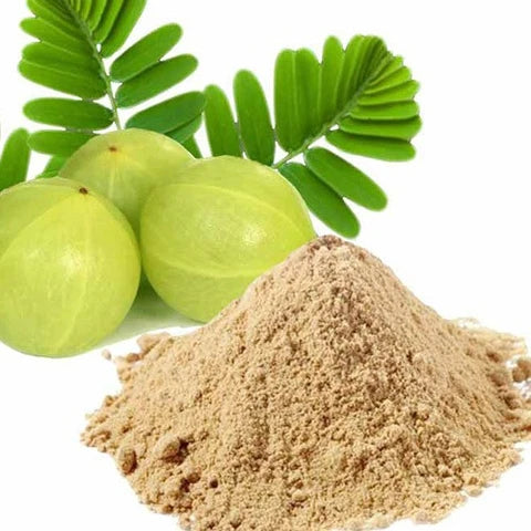 🌿 Amlaki Beej Churna | For Hair, Skin & Digestive Balance | by Riddhish Herbals🌿