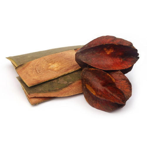 Arjun Chhal Akha 100gm | Terminalia arjuna | Cardiovascular Health Support