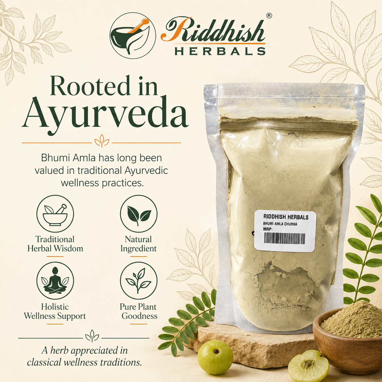 Bhumi Amla Churna rooted in Ayurveda infographic
