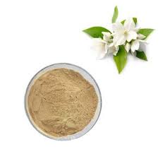 CHAMELI PAAN CHURNA | Jasminum grandiflorum – Natural Wellness Support | by Riddhish Herbals