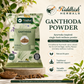 Ganthoda Powder 50g Pippalimool single-herb Ayurvedic powder infographic