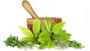 Garmala Paan Churna -100GM | Cassia fistula – Traditional Mild Cleansing Support | by Riddhish Herbals