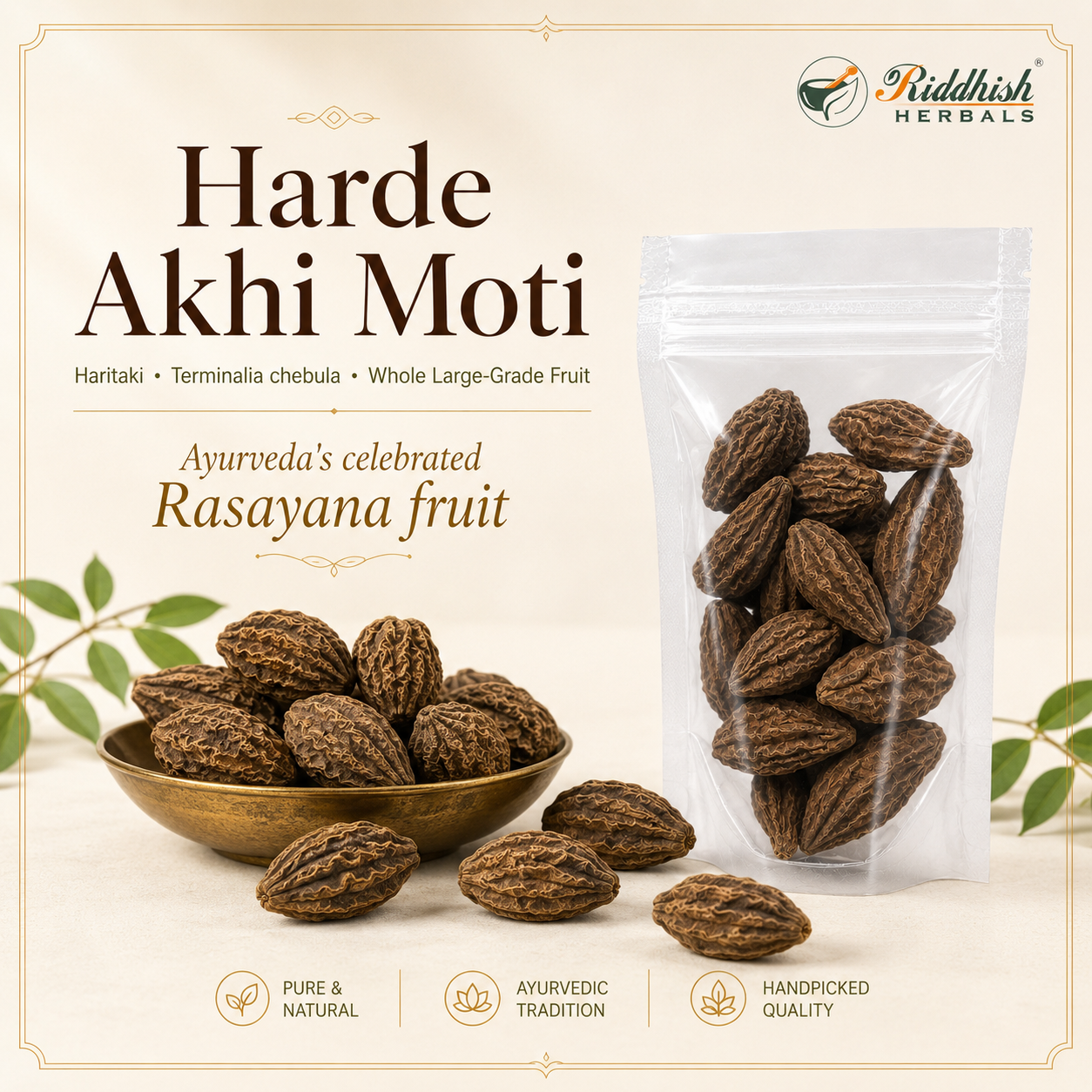 Harde Akhi Moti Haritaki Terminalia chebula whole large grade fruit Ayurveda Rasayana fruit infographic