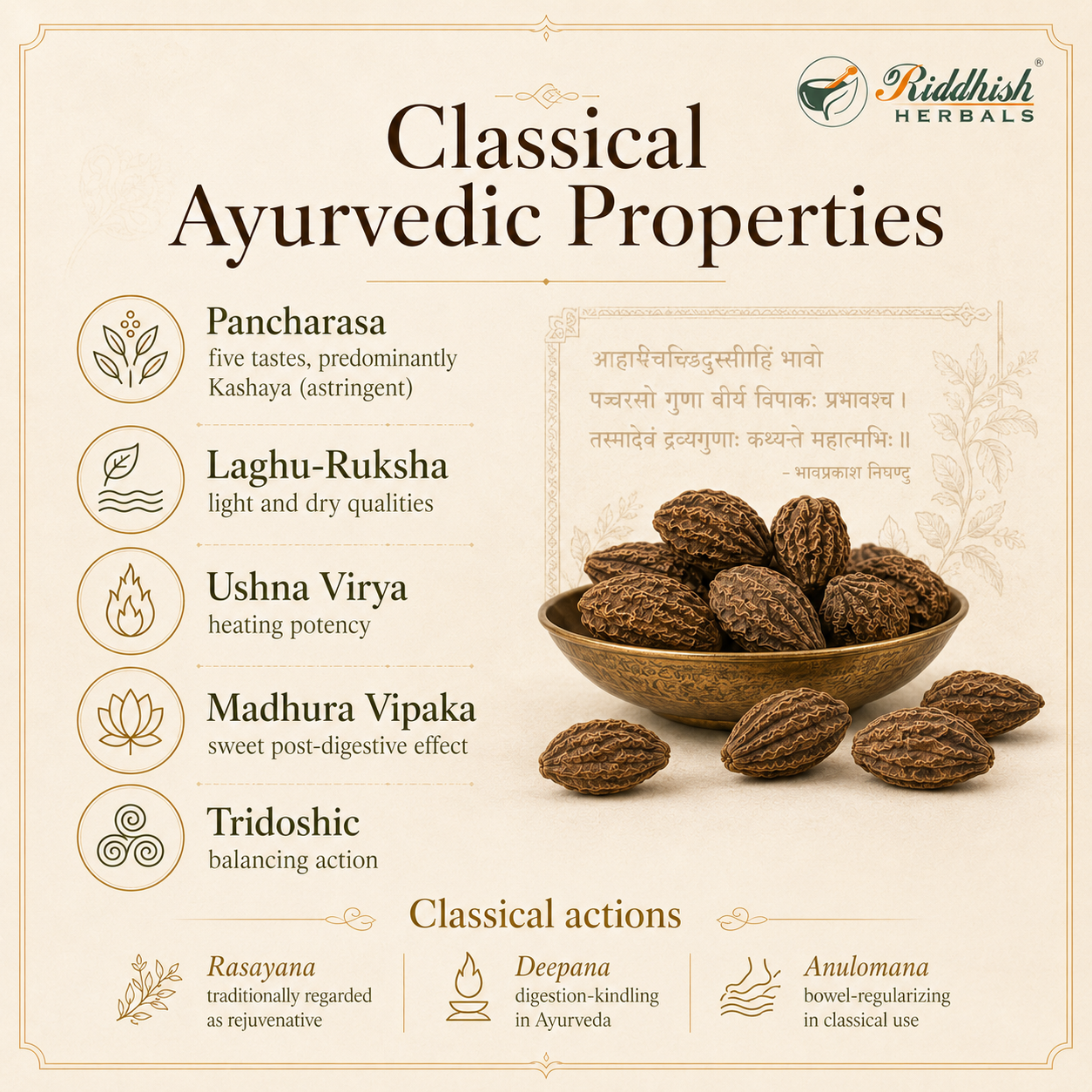 Harde Akhi Moti classical Ayurvedic properties Pancharasa Laghu Ruksha Ushna Virya Madhura Vipaka Rasayana Deepana Anulomana infographic
