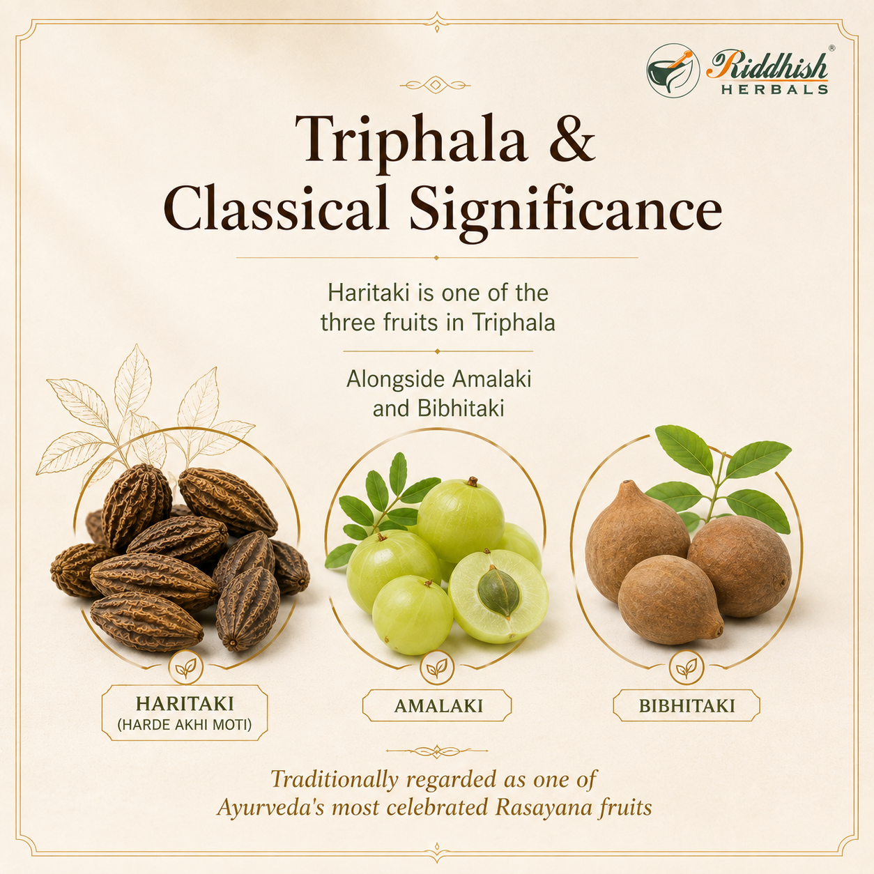 Harde Akhi Moti Haritaki as one of three fruits in Triphala with Amalaki and Bibhitaki classical significance infographic